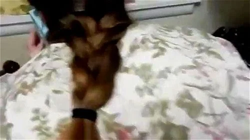 Spankbang Dog Fuck - Watch fucking sister on phone - Sister, On Phone, Amateur Porn - SpankBang