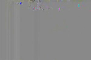 Ab 0:00:17 ansehen