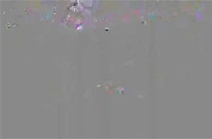 Ab 0:01:47 ansehen