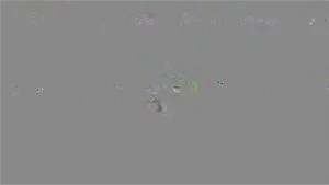 Watch from 0:04:05