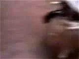 Watch from 0:31:14