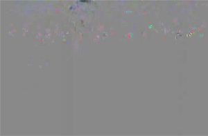 Ab 0:02:05 ansehen