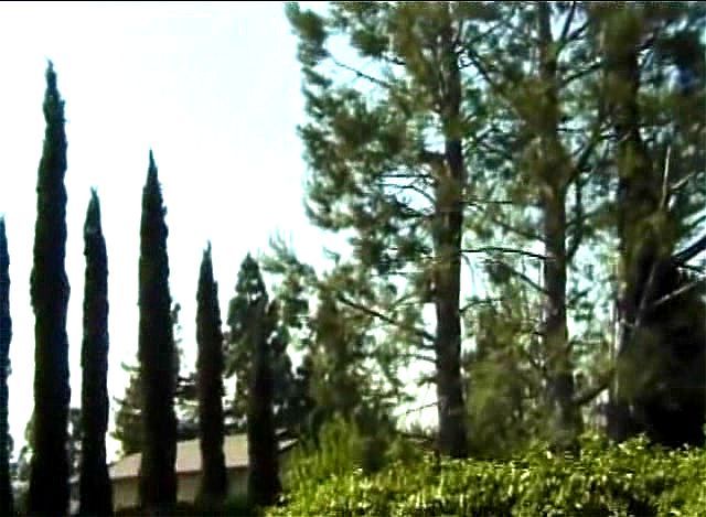 Asian whore banged hard outdoor Asian whore banged hard outdoor