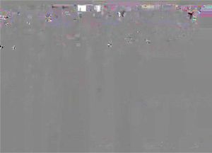 Ab 0:06:15 ansehen
