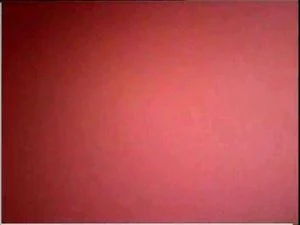 Watch from 0:15:09