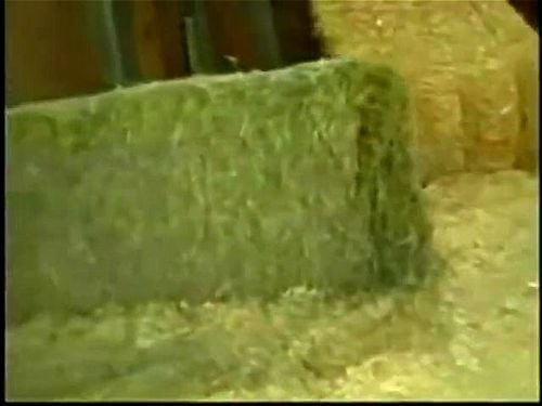 Unwanted creampie compilation - Breeding Comp, Unwanted Creampie, Accidental Creampie Porn