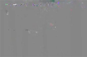 Ab 0:01:23 ansehen
