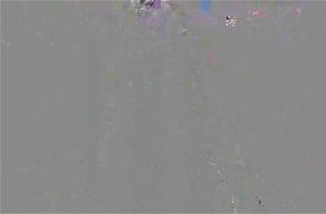 0:04:39から視聴