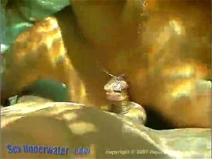 Watch from 0:03:31
