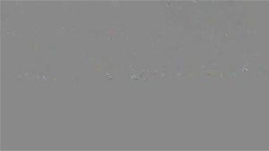 Watch from 0:03:59