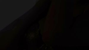 Watch from 0:01:09