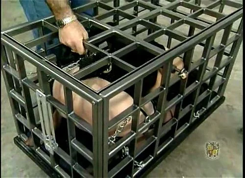 put em in a cage 1