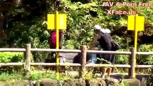 Jav thumbnail