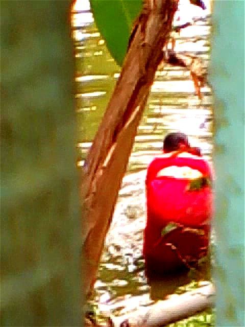 bengali+boudi+bathing