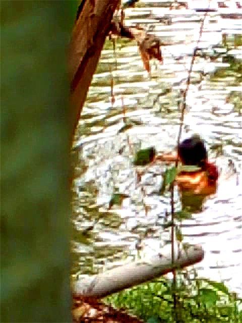 bengali+boudi+bathing