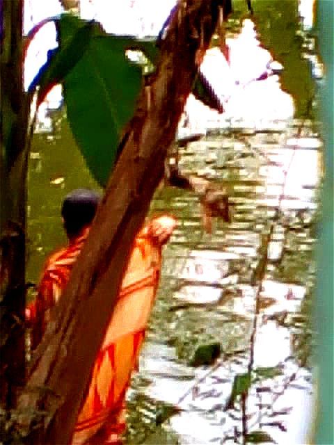 bengali+boudi+bathing