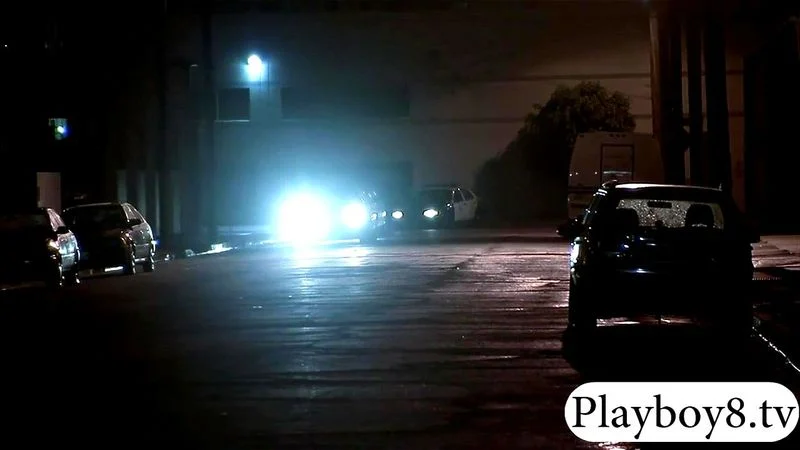 Horny women having sex in the limousine before going to jail Horny women having sex in the limousine before going to jail