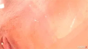 Jazz thumbnail