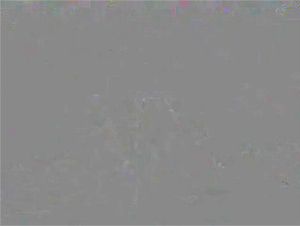 Watch from 0:08:31