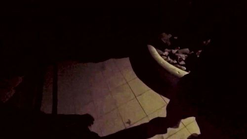 Mariah Leone dans une scène de sexe interracial avec un homme noir. Cette vidéo explore une passion profonde et une connexion intime entre adultes, en se concentrant sur des moments de luxure et de désir. La scène se caractérise par une chimie forte et une interaction mutuelle, créant une expérience excitante et captivante pour les spectateurs de contenu pornographique. Vidéo Porno - SpankBang