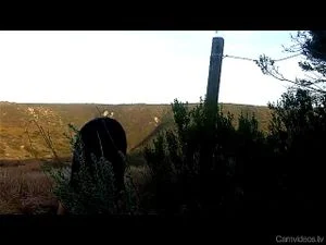 Watch from 0:00:41