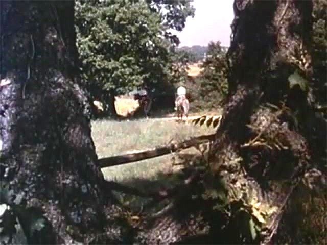 I Vizi Di Selen (1993) I Vizi Di Selen (1993)