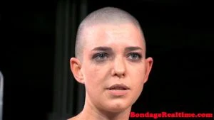 Shaved head honeys thumbnail