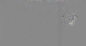 Watch from 0:01:05