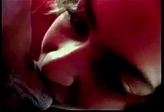 Vanessa Chase gives a great bj Vanessa Chase gives a great bj
