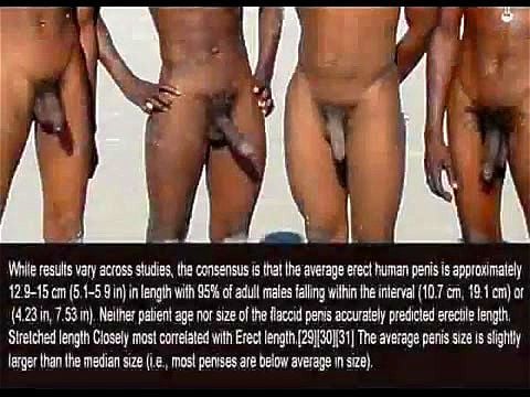 Biggest Human Dick In Porn - Watch A Study of the human Penis - Indian, Big Dick Porn - SpankBang