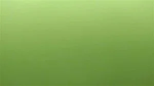 Watch from 0:02:39