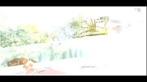 Watch from 0:13:15