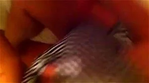 Watch from 0:05:42