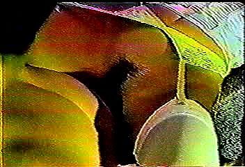 日本AV 女優 朝倉舞 Mai Asakura_朝岡實嶺 Mirei Asaoka_飯島愛 Ai Iijima_後藤子 Eriko(無碼) ft. 淺倉舞 Mai Asakura_朝岡實嶺 Mirei Asaoka: Porn - SpankBang