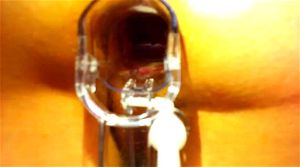 Ebony thumbnail