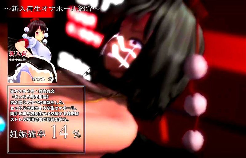 Touhou MMD Alice & Shameimaru Aya