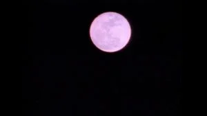 Watch from 0:26:09