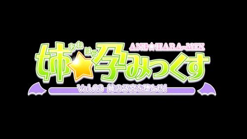 姉☆孕みっくす Vol.03 姉の子宮を堕とせ! Porn - SpankBang