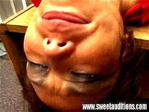 Stupid pet thumbnail