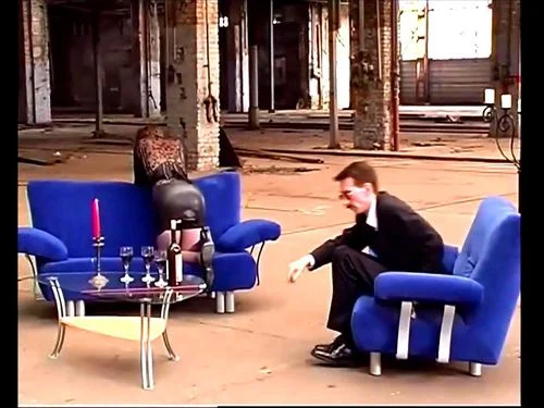 11 years ago