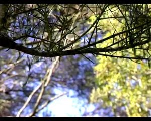 Watch from 0:09:53