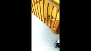 Watch from 0:00:26