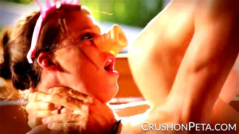 Peta Jensen - piggy Peta Jensen - piggy
