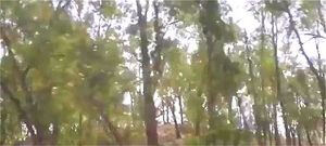 Watch from 0:01:39