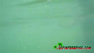 Watch from 0:04:39