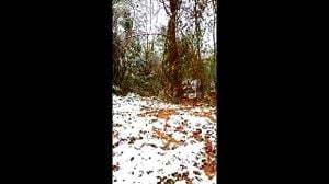 Watch from 0:00:11