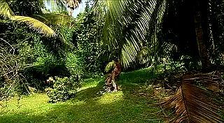 Mystery Island Scene 2 Mystery Island Scene 2