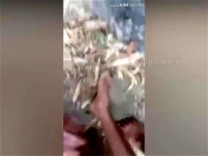 Watch from 0:00:44