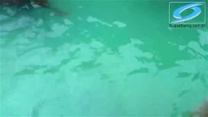 Watch from 0:01:23