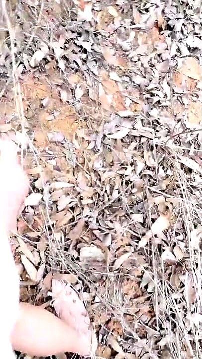 vãi lồnnnnnnnn vãi lồnnnnnnnn